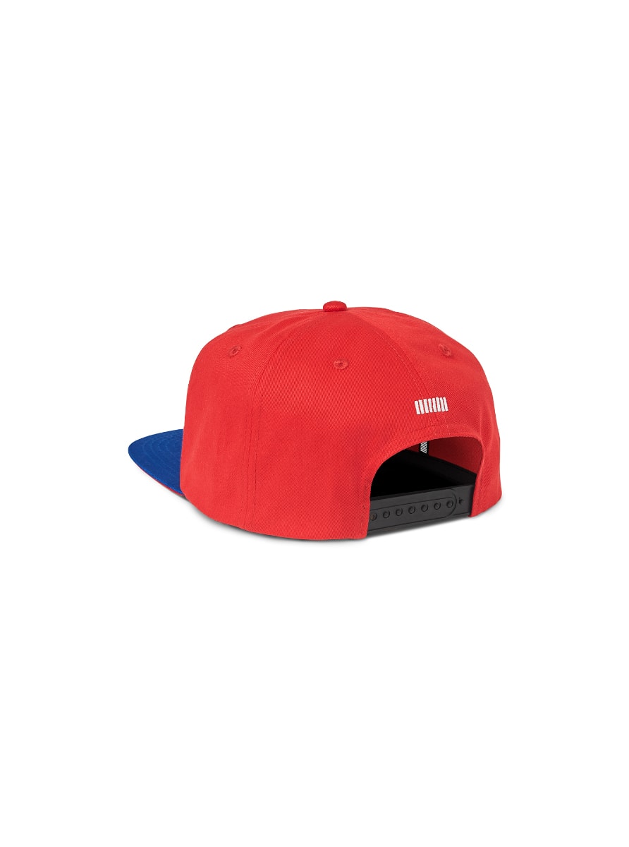 Magnetics Flat Cap