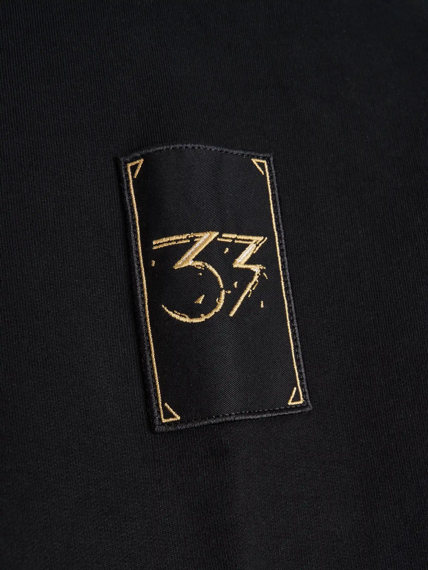 Expedition 33 Hoodie