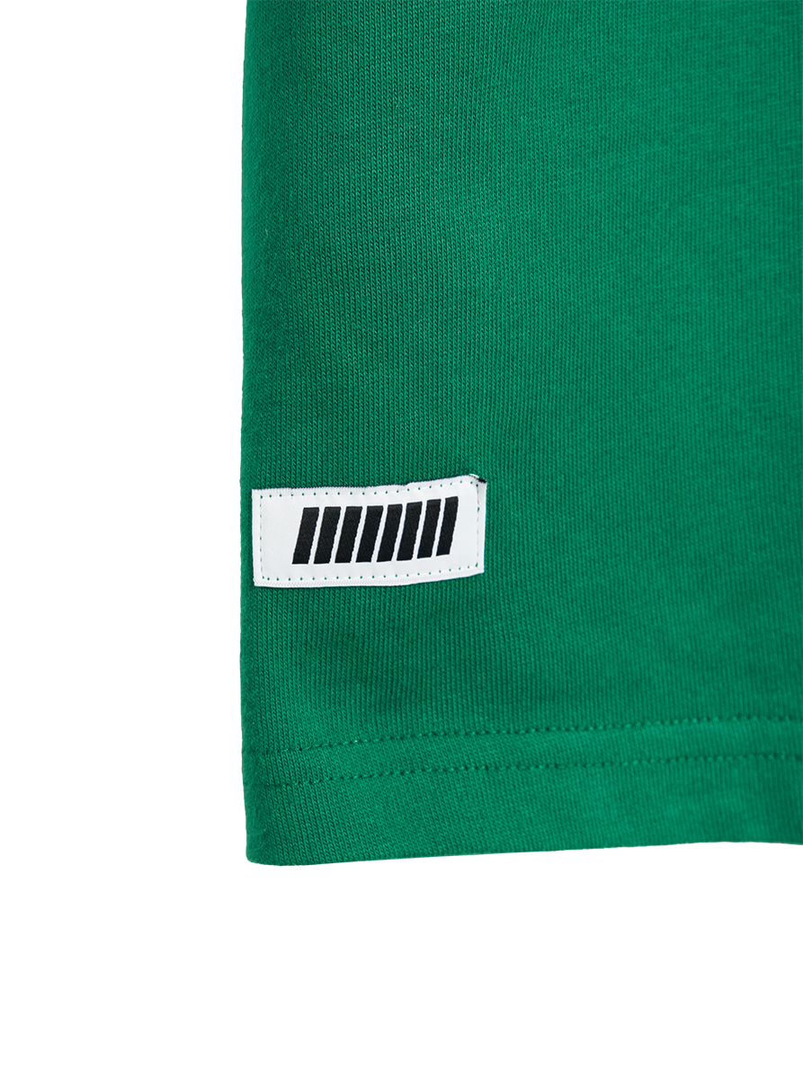 Hawkins Tigers T-shirt