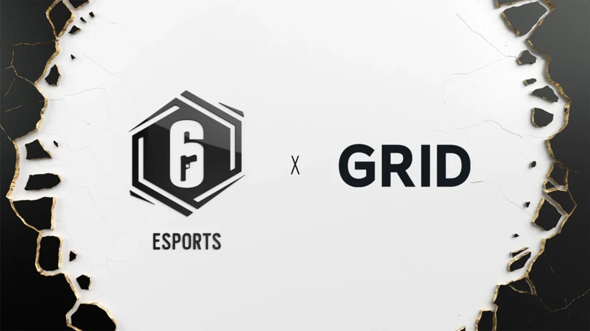 rainbow six x grid