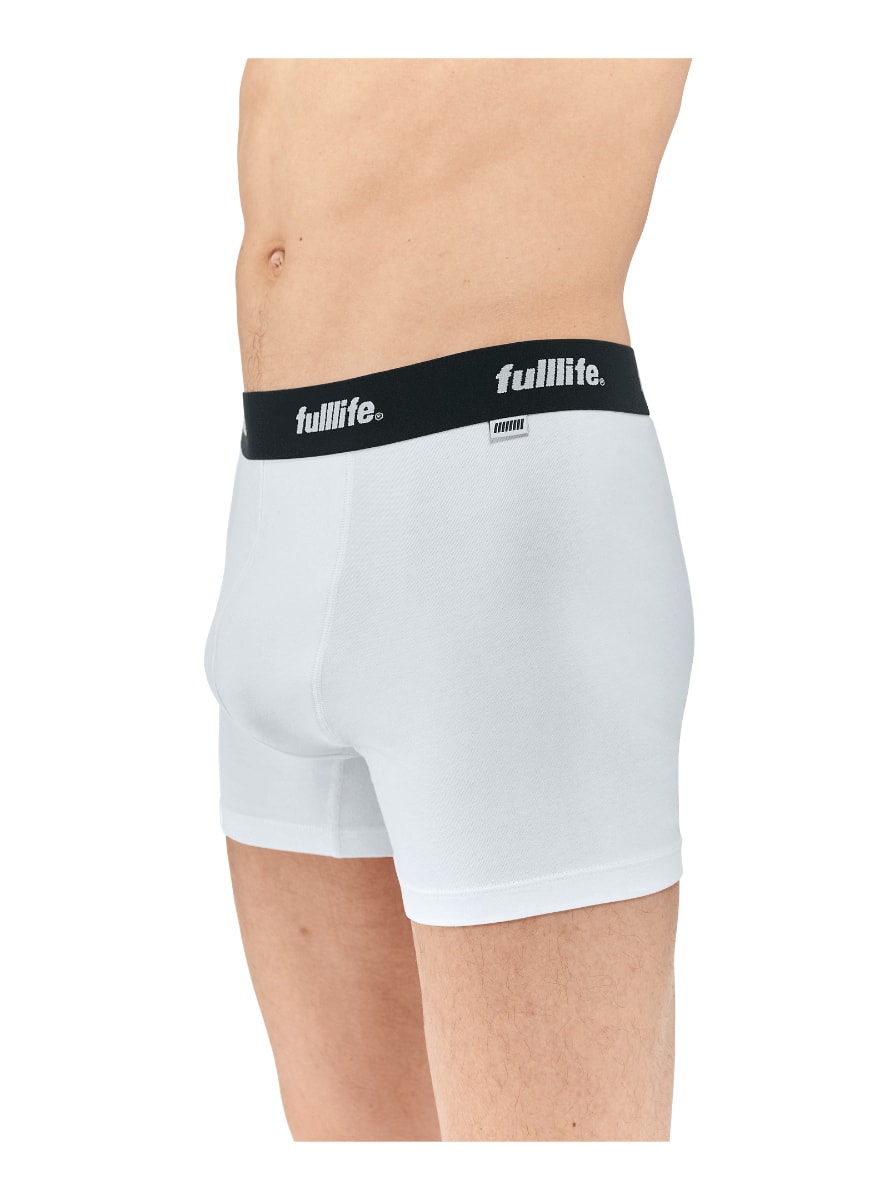 Lylat Boxer