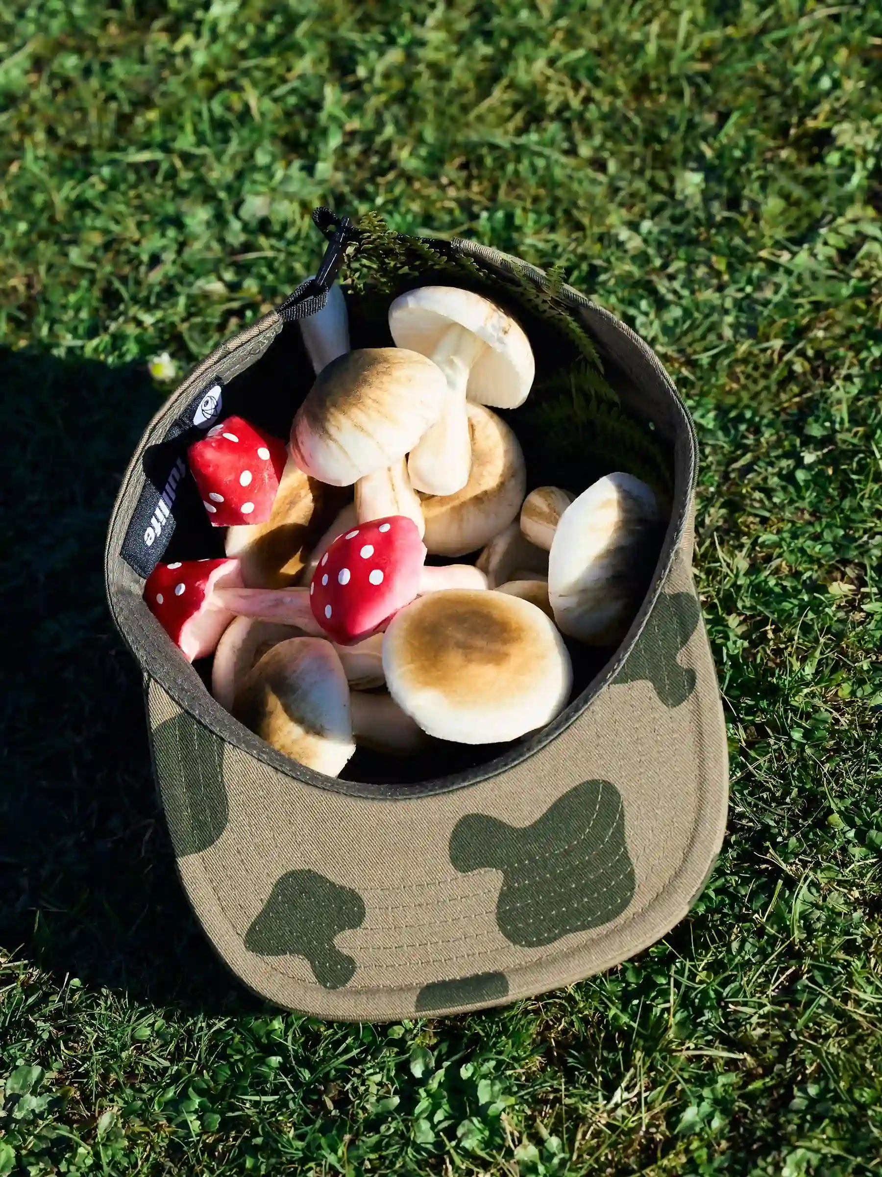 Bandle Scout Cap