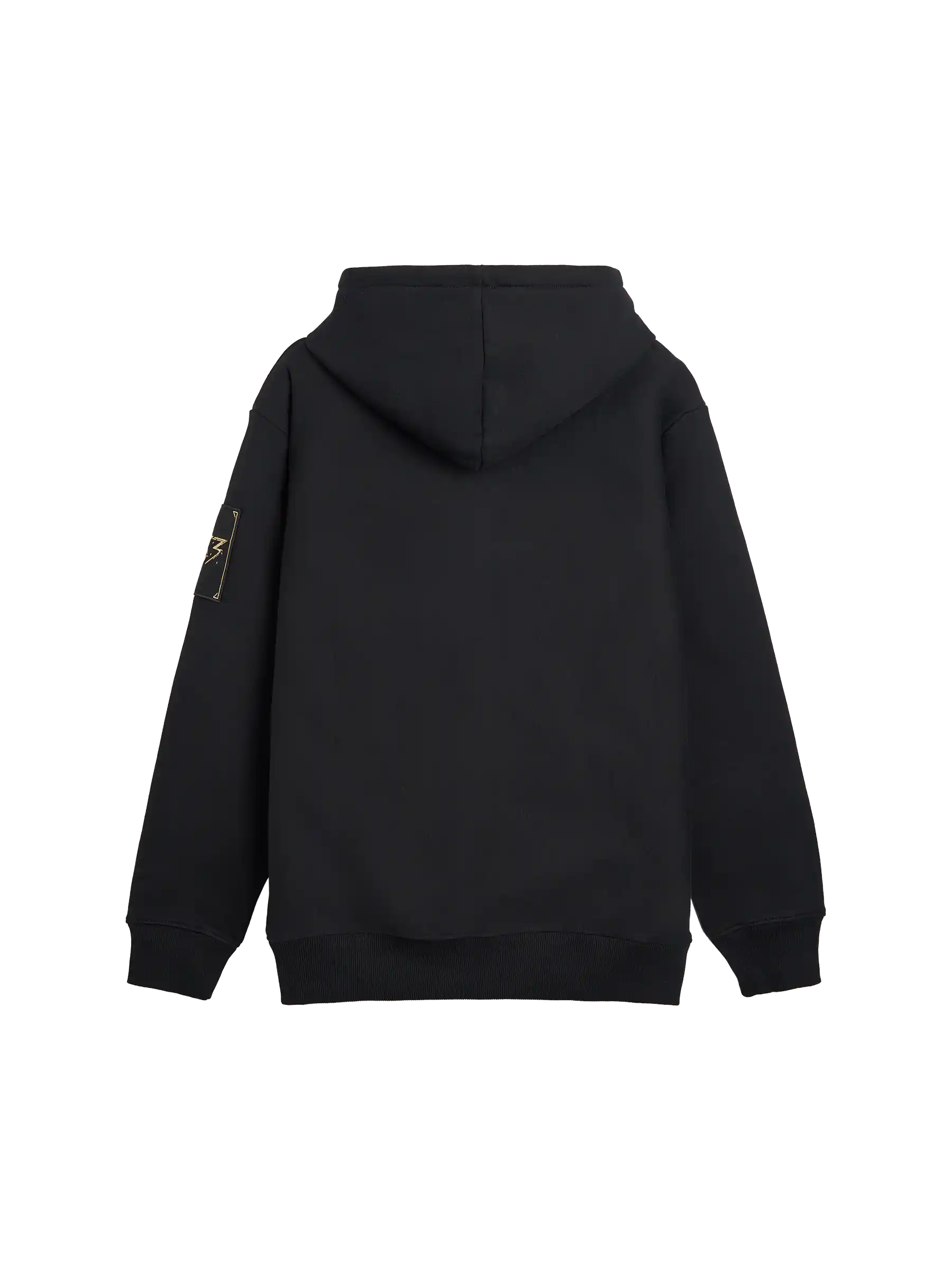 Expedition 33 Hoodie